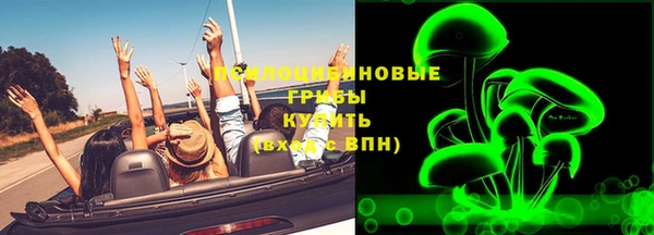 хмурый Алексеевка