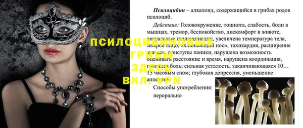 хмурый Алексеевка