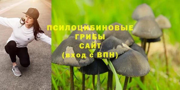 хмурый Алексеевка