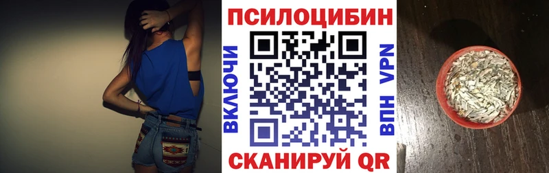Галлюциногенные грибы Psilocybine cubensis  Армянск 